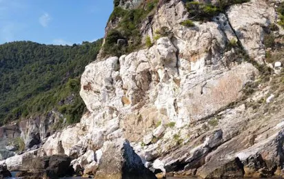 Camping OASI (Marina di Massa)