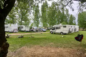 Camping Oaza - Wohnmobil- und Wohnwagenstellplätze im Schatten der Bäume auf dem Campingplatz