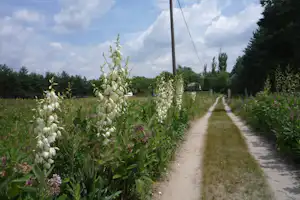 Camping Oázis Tanya - Eingang zum Campingplatz