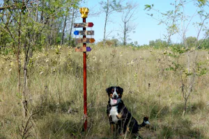 Camping Oázis Tanya - Hundefreundlicher Campingplatz mit vielen Wanderwegen in der Umgebung