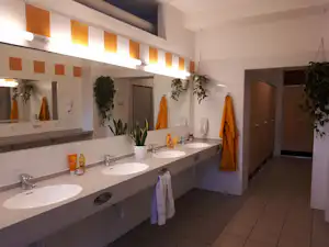 Camping-Badezimmer mit mehreren Waschbecken, Spiegeln, Handtuchhaken und gelben Handtüchern, Pflanzen in Töpfen und Fliesenboden.
