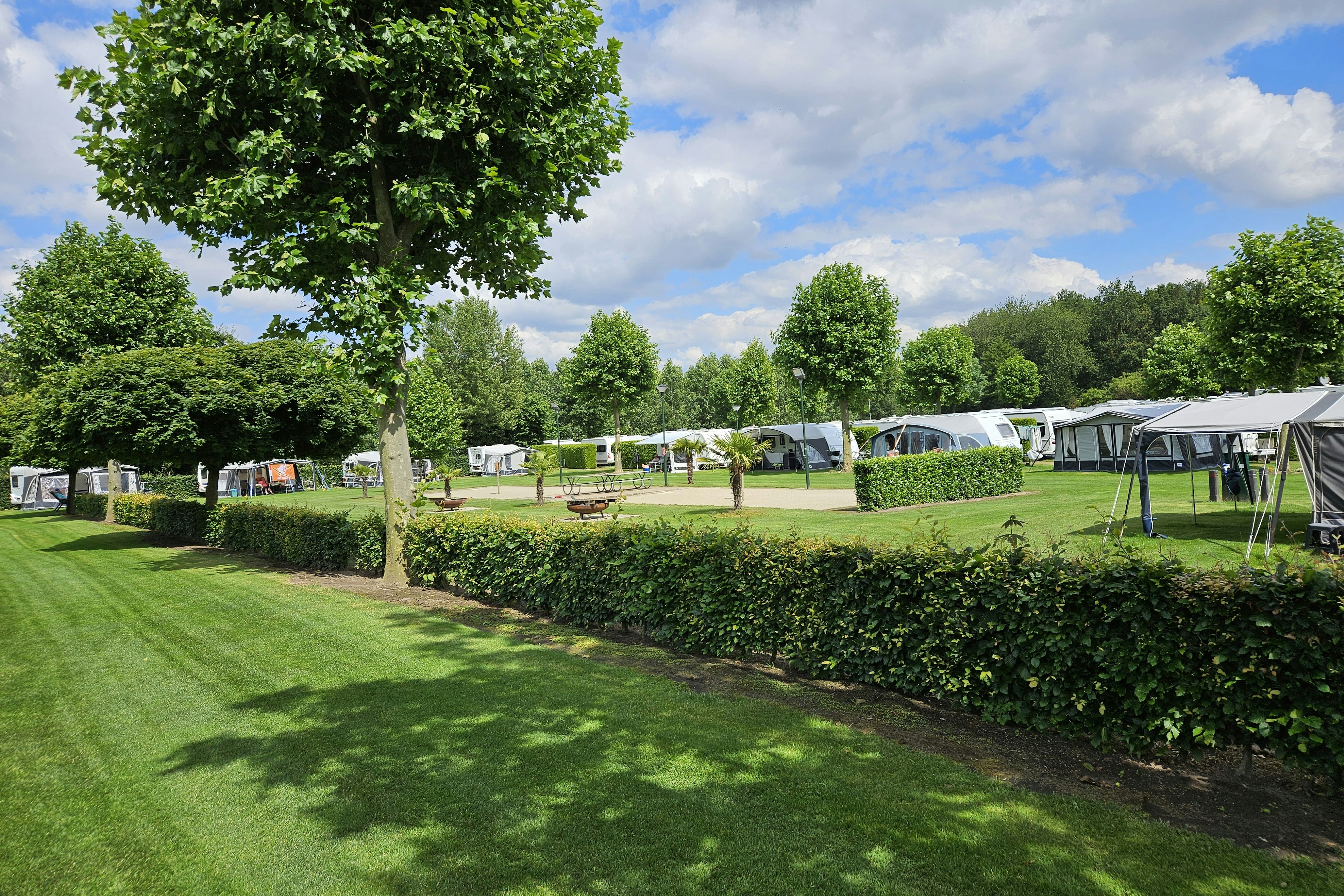 Camping Oda Hoeve - Standplatzwiese auf dem Campingplatz