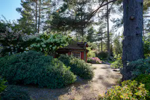 Camping Odden - Mietunterkuenfte - 4.jpg