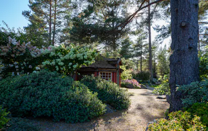Camping Odden