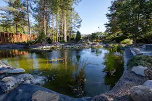 Camping Odden - Teich.jpg