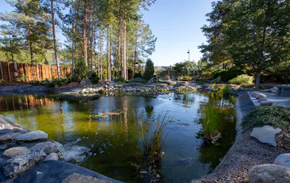 Camping Odden