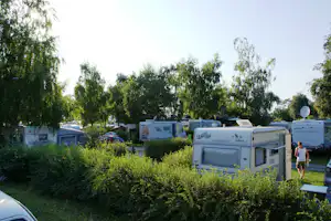Camping Oggau - Stellplatz vom Campingplatz im Grünen