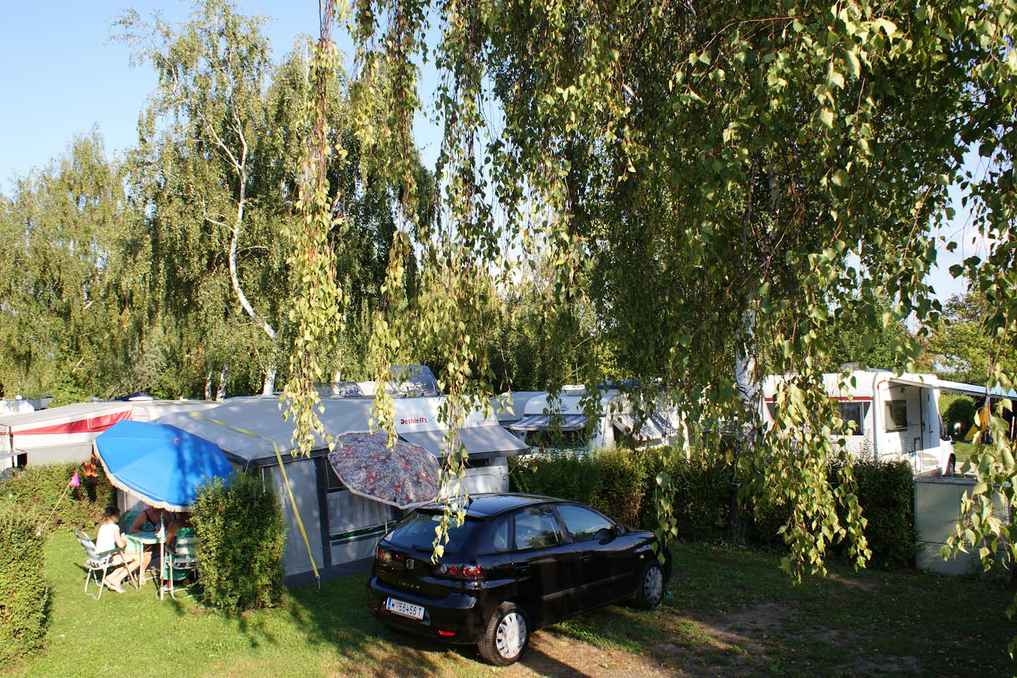 Camping Oggau  -  Stellplatz vom Campingplatz im Schatten eines Baumes