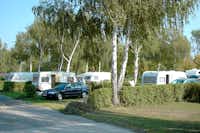 Camping Oggau  -  Wohnmobilstellplatz und Wohnwagenstellplatz vom Campingplatz zwischen Bäumen