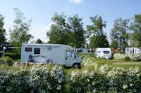 Camping Oggau  -  Wohnwagen- und Zeltstellplatz vom Campingplatz im Grünen