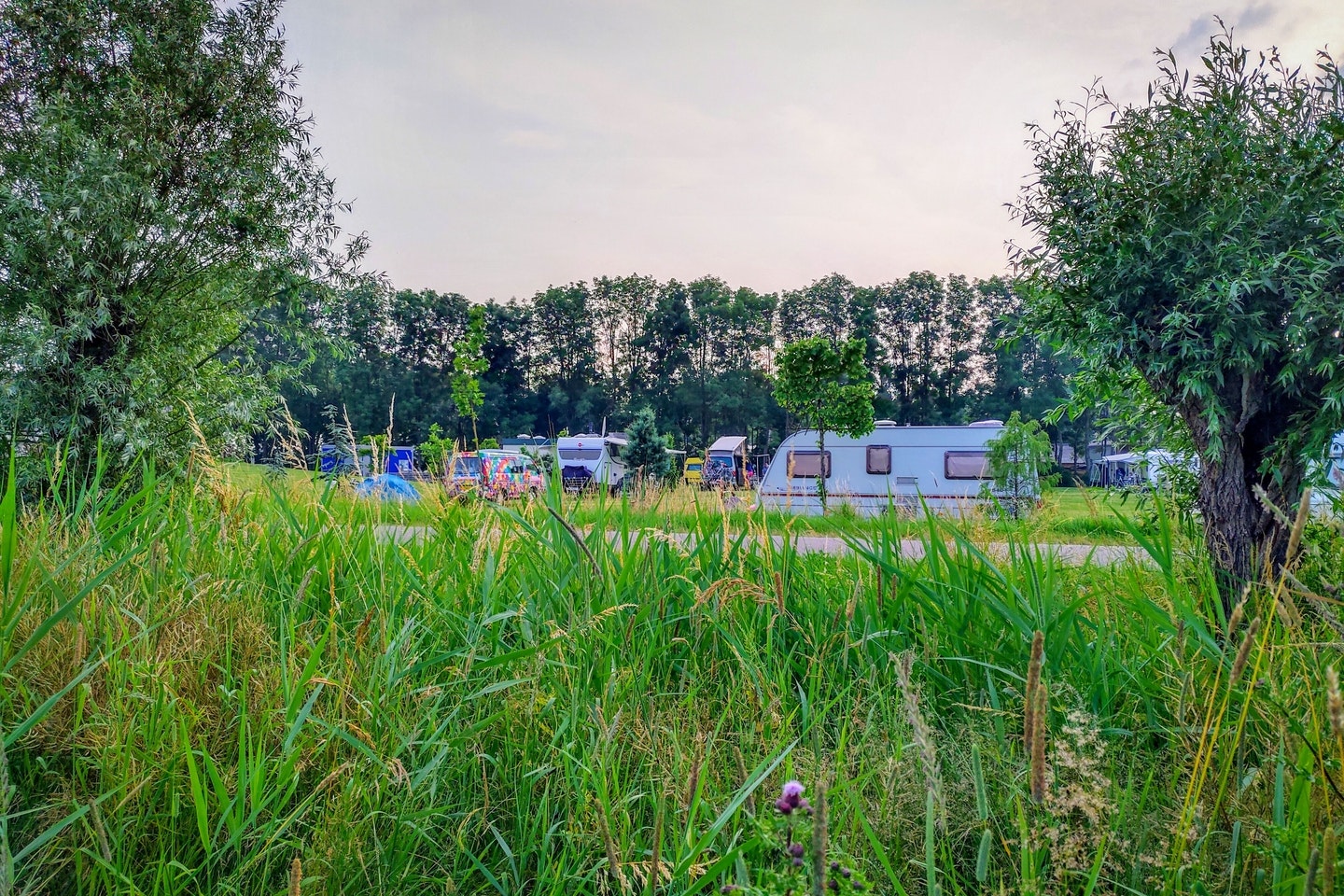 Camping Oldershof - Standplätze im Grünen auf dem Campingplatz
