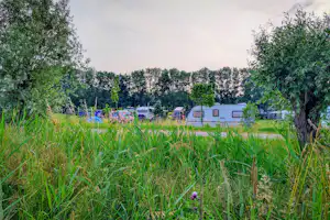 Camping Oldershof - Standplätze im Grünen auf dem Campingplatz