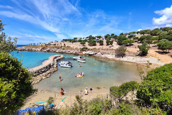 Olea Camping