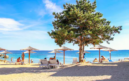 Olea Camping