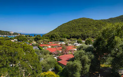 Oliva Camping (Rabac)