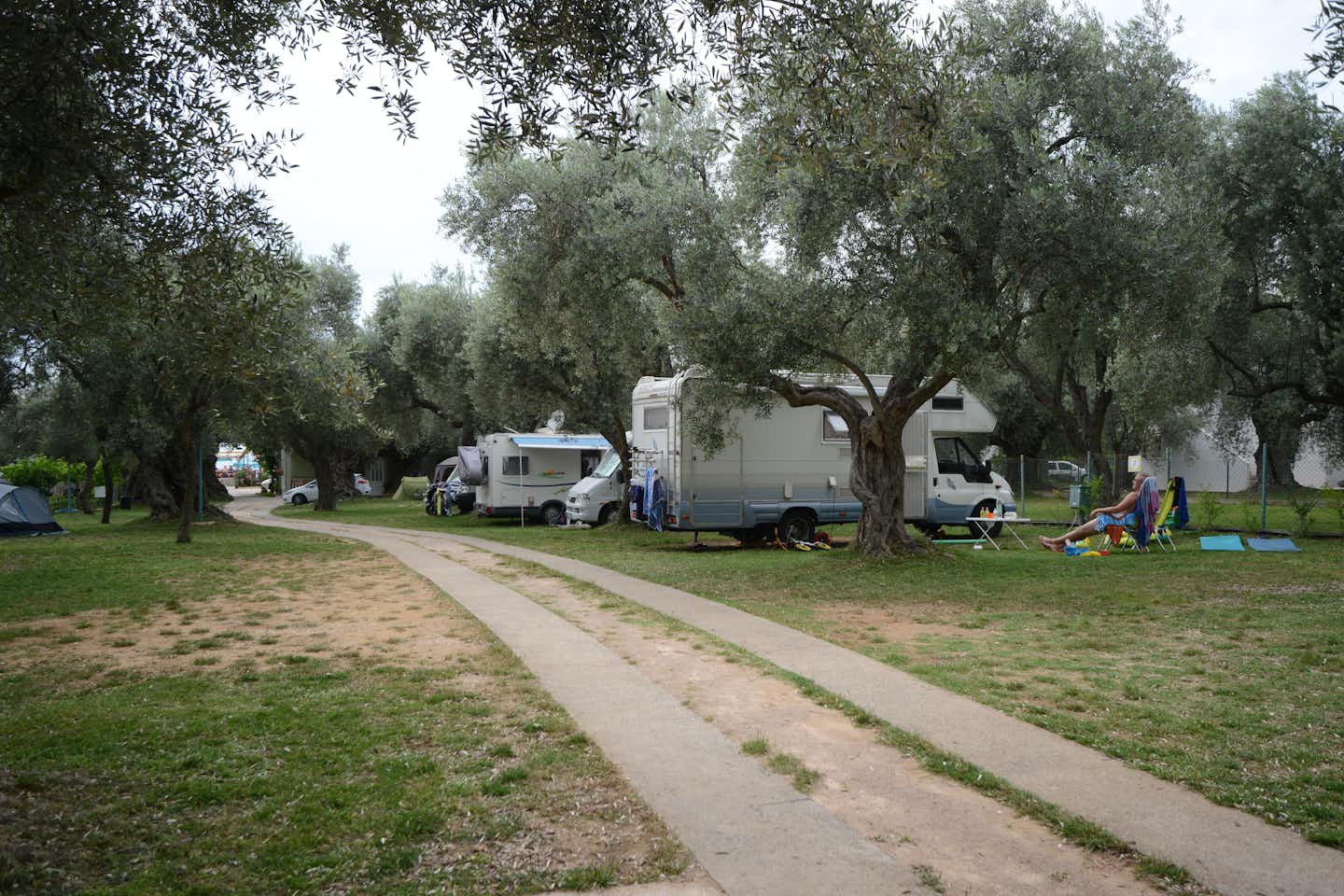 Camping Oliva - Wohnwagen- und Zeltstellplatz vom Campingplatz zwischen Bäumen