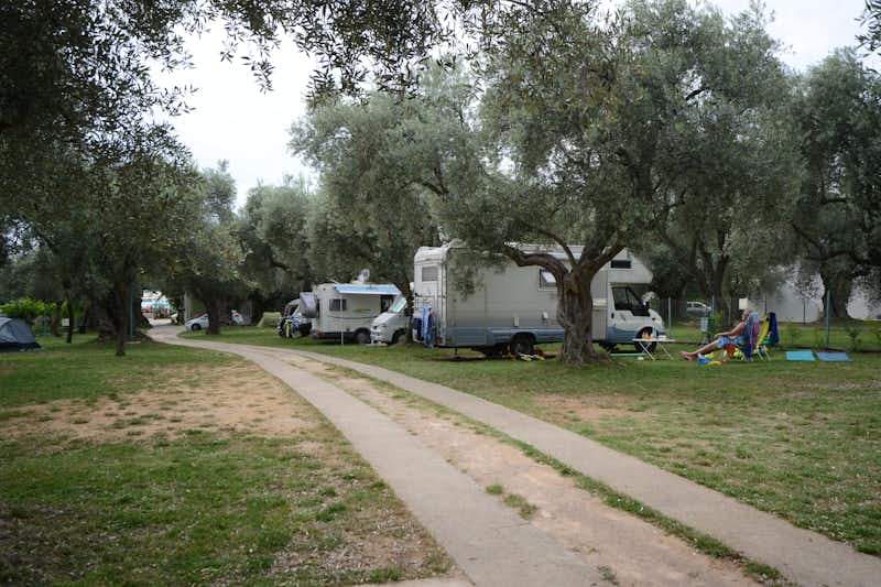 Camping Oliva - Wohnwagen- und Zeltstellplatz vom Campingplatz zwischen Bäumen