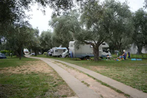 Camping Oliva - Wohnwagen- und Zeltstellplatz vom Campingplatz zwischen Bäumen