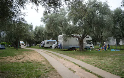Camp Oliva (Utjeha)
