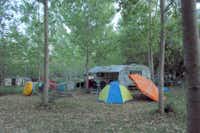 Camping Olmello - Standplätze auf dem Campingplatz