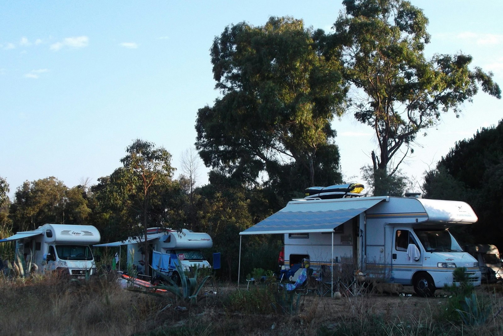 Camping Olmello - Standplätze auf dem Campingplatz