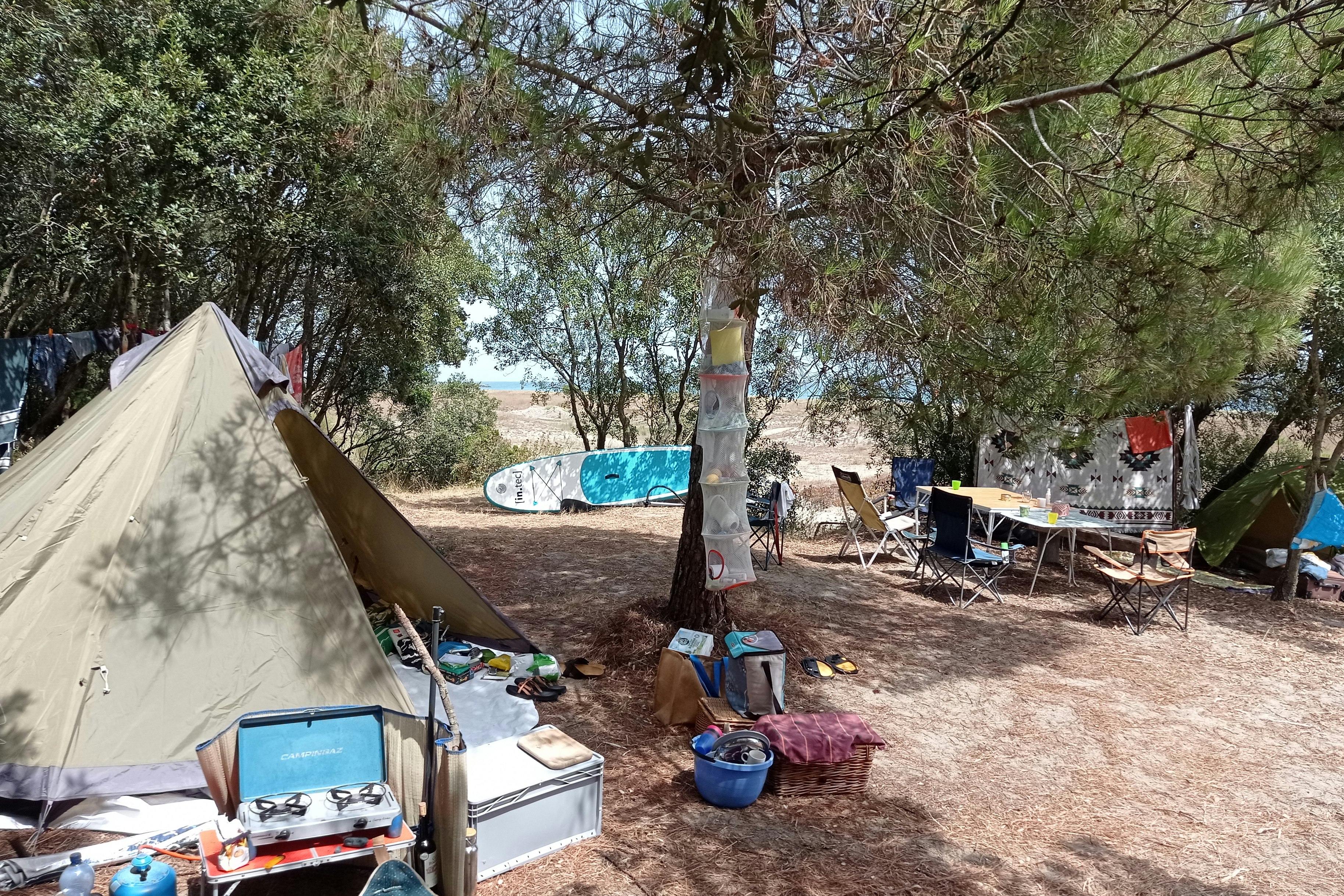 Camping Olmello - Standplätze auf dem Campingplatz zwischen den Bäumen