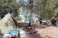 Camping Olmello - Standplätze auf dem Campingplatz zwischen den Bäumen