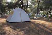 Camping Olympos Beach -  Zeltstellplätze im Grünen auf dem Campingplatz