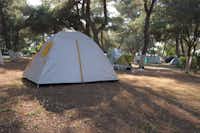 Camping Olympos Beach -  Zeltstellplätze im Grünen auf dem Campingplatz
