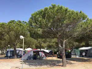 Camping Onda Azzurra - Stellplätze im Schatten der Bäume auf dem Campingplatz