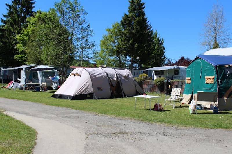 Camping Oos Heem  - Zeltwiese auf dem Campingplatz