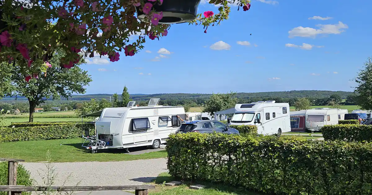 Sind Hunde auf Camping Op den Stuwwal erlaubt? photo 4