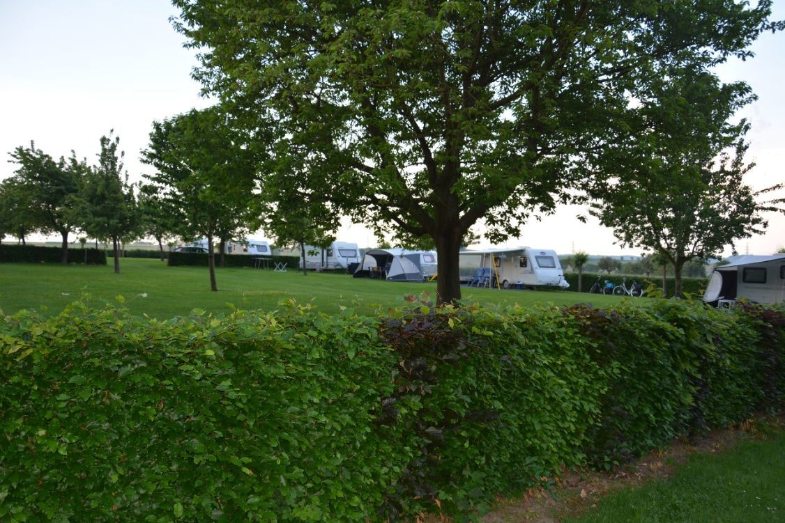 Camping Op Gen Beukelskoel - Blick auf die Standplätze auf der Wiese