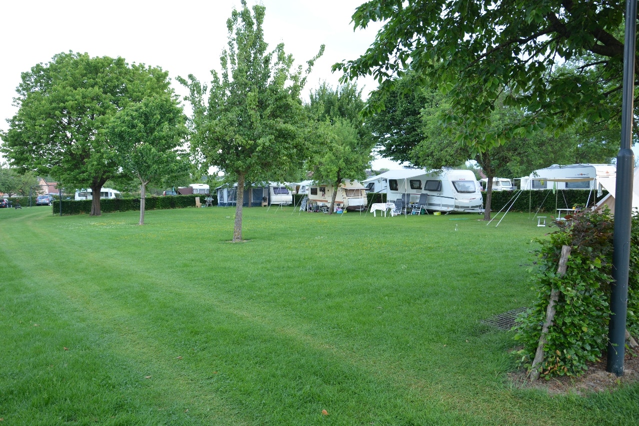 Camping Op Gen Beukelskoel - Standplatzwiese auf dem Campingplatz