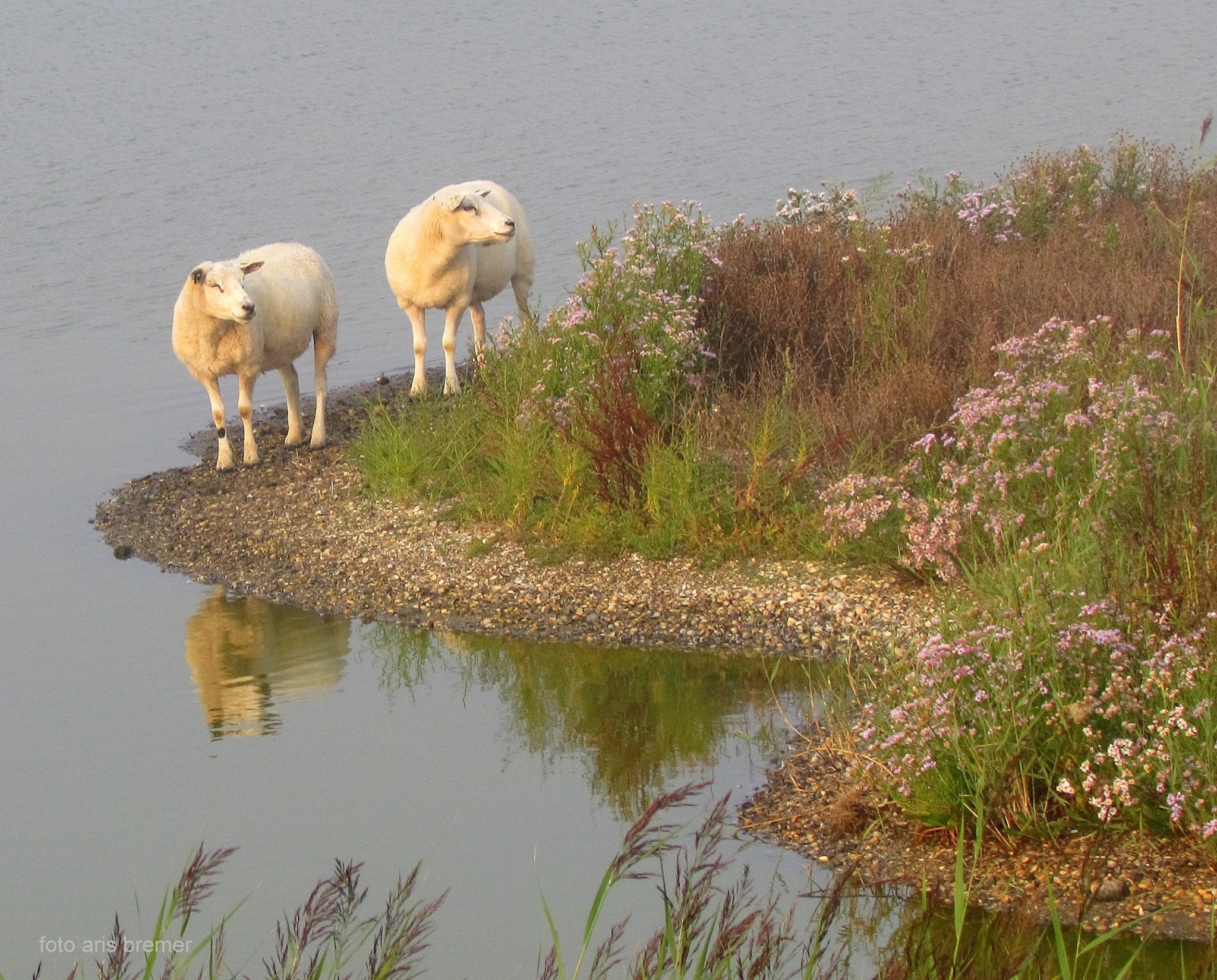 Camping Ora et Labora