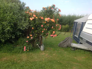 Camping Ora et Labora