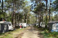 Camping ORBITUR Vagueira - Allee des Campingplatzes mit Stellplätzen an beiden Seiten, auf denen Wohnwagen stehen