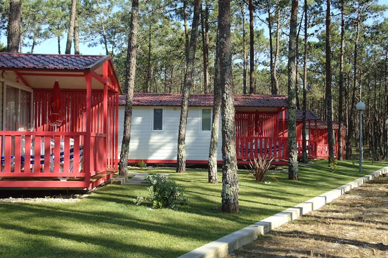 Camping ORBITUR Vagueira - Bungalows mit überdachten Veranden an einer Allee des Campingplatzes