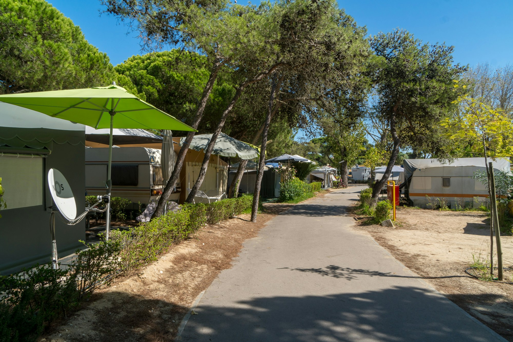 Camping-Gasse mit Zelten und Sonnenschirm, links ein Wohnzelt, rechts Hecken und Bäume entlang des Weges.