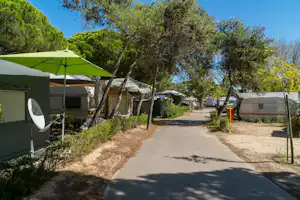 Camping-Gasse mit Zelten und Sonnenschirm, links ein Wohnzelt, rechts Hecken und Bäume entlang des Weges.