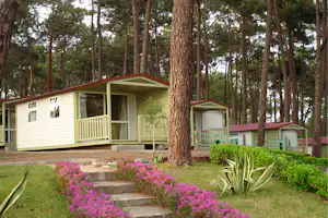 Camping ORBITUR Valado - Mobilheime vom Campingplatz zwischen Bäumen