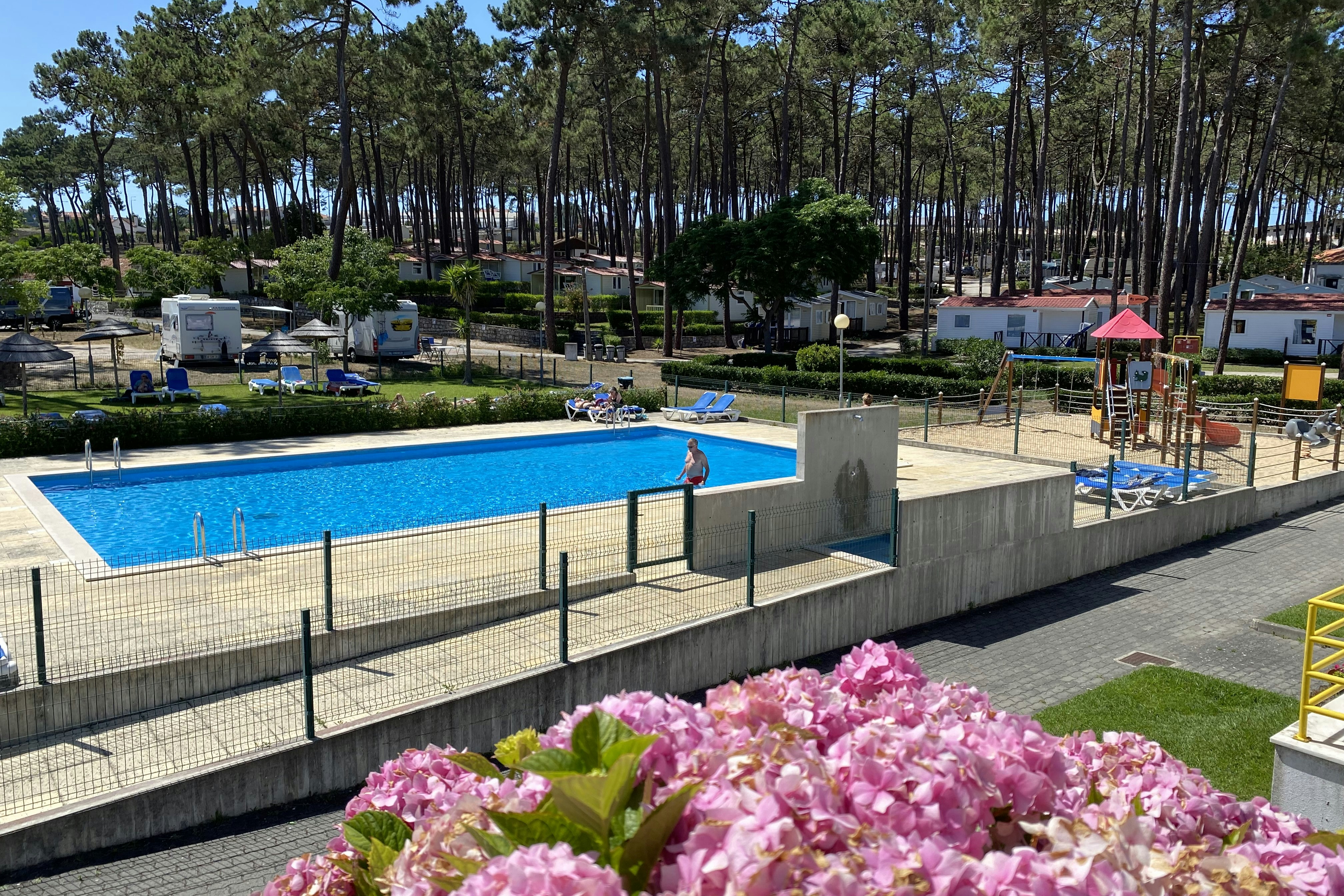 Camping-Pool mit Einfassung, Liegen und Tischen, im Vordergrund pinke Blumen; dahinter hohe Kiefern und ein kleiner Pavillon.