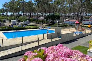 Camping-Pool mit Einfassung, Liegen und Tischen, im Vordergrund pinke Blumen; dahinter hohe Kiefern und ein kleiner Pavillon.