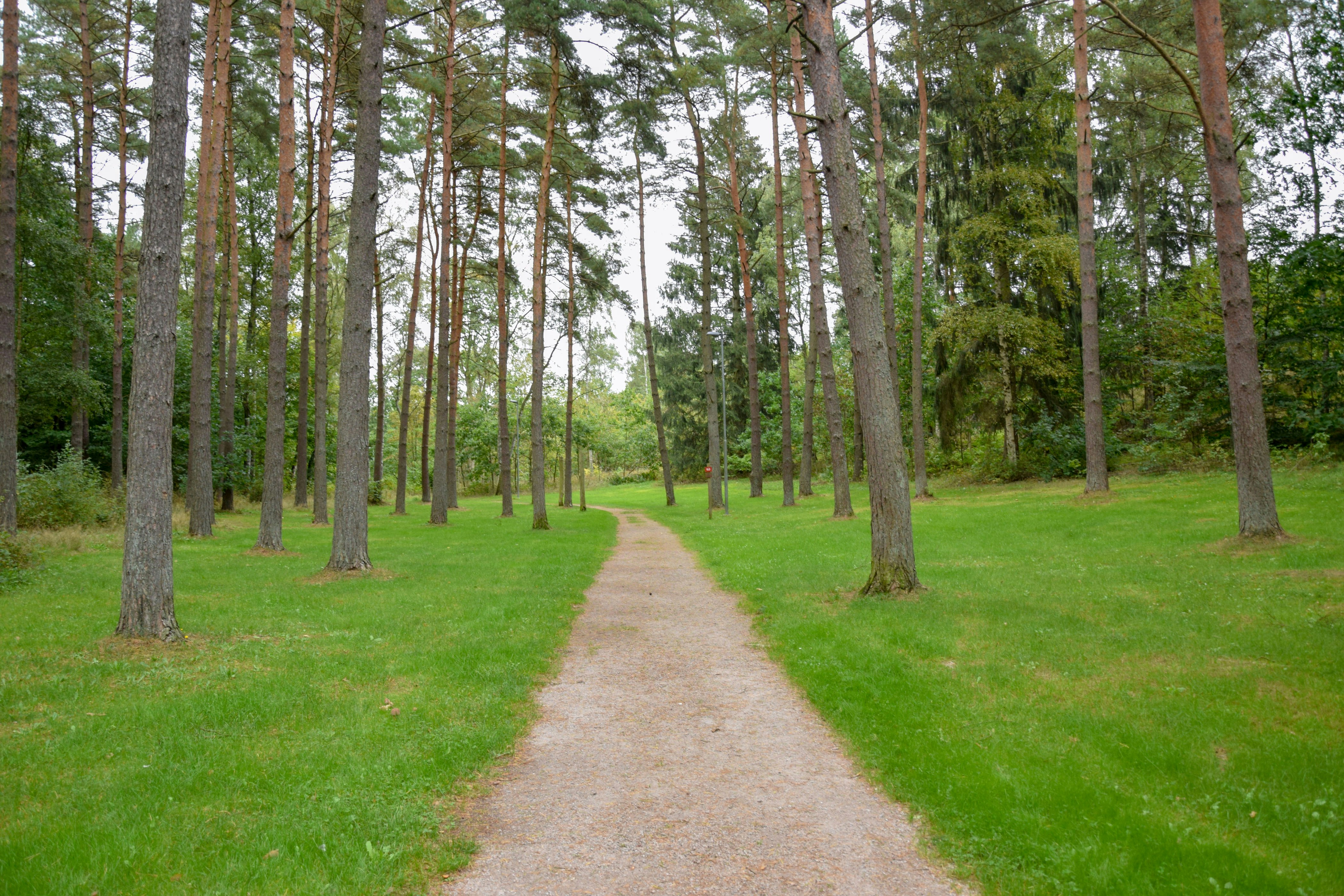 Camping Orebacken - Laufweg