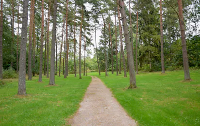 Camping Orebacken