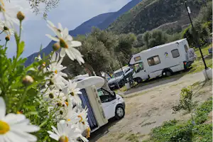 Weiße Margeriten im Vordergrund, daneben Wohnwagen und Autos auf einem Campingplatz am Hang mit Bergen im Hintergrund.