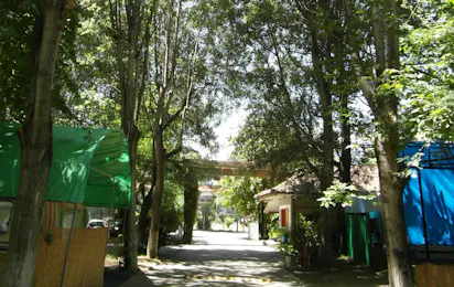 Camping Orpheus