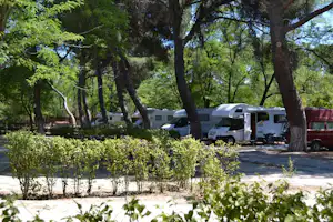 Campingplatz mit Wohnmobilen und Mobilheimen zwischen großen Bäumen, gepflasterter Stellplatz und Hecken im Vordergrund.