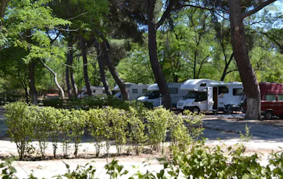 Camping Osuna