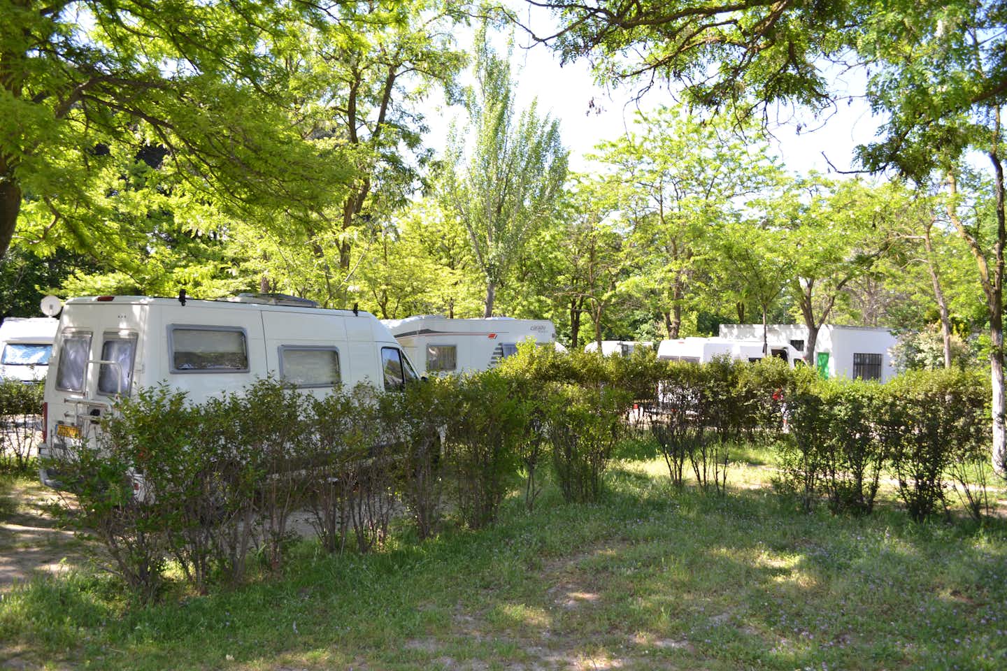 Camping Osuna -   Wohnwagenstellplätze im Grunen  auf dem Campingplatz